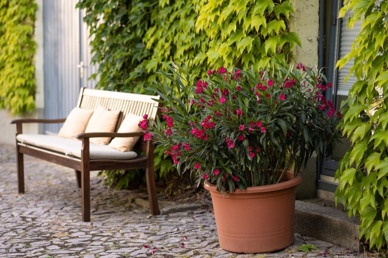Hotel Moritz An Der Elbe Zeithain Luaran gambar